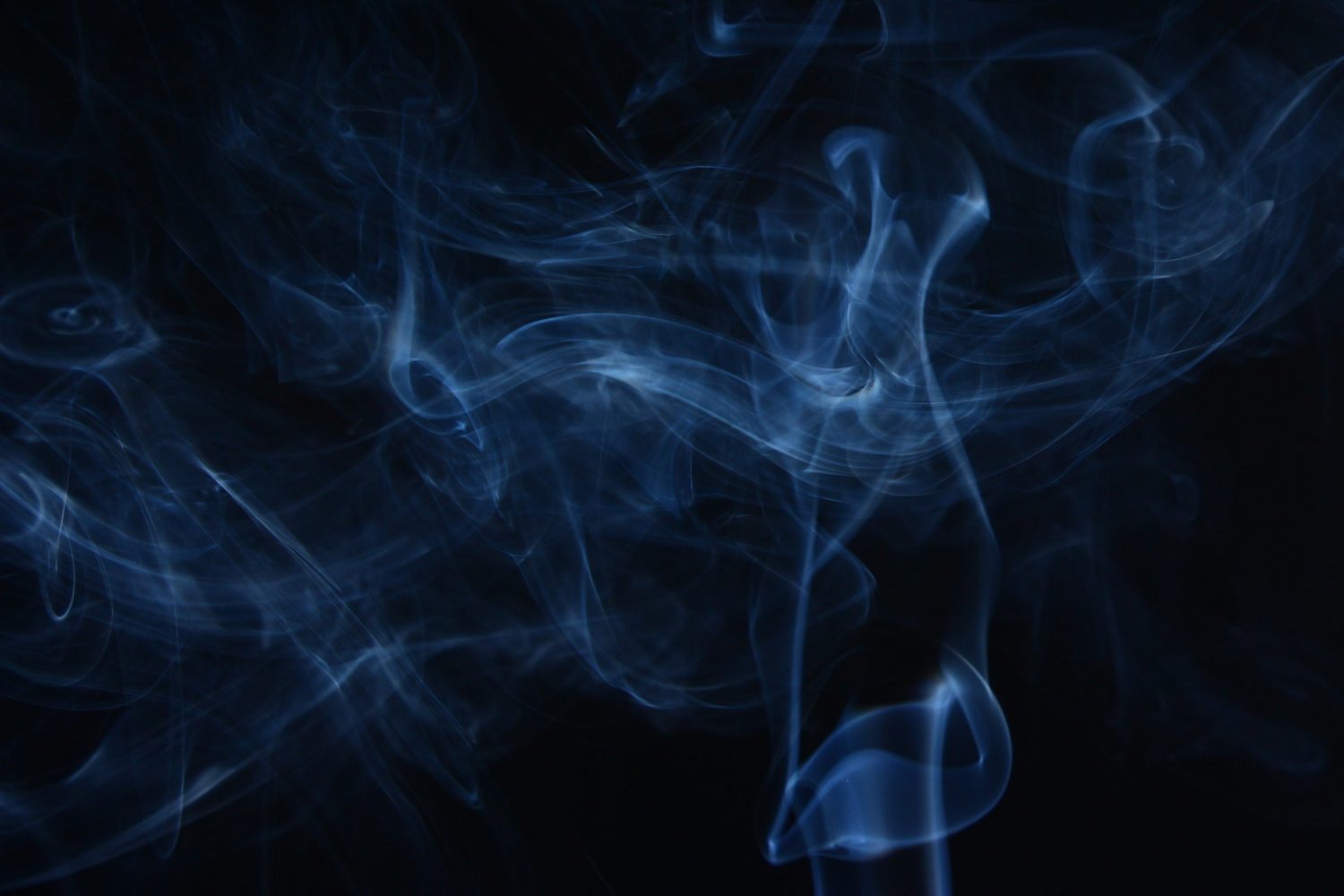 Élimination des odeurs - ProSin